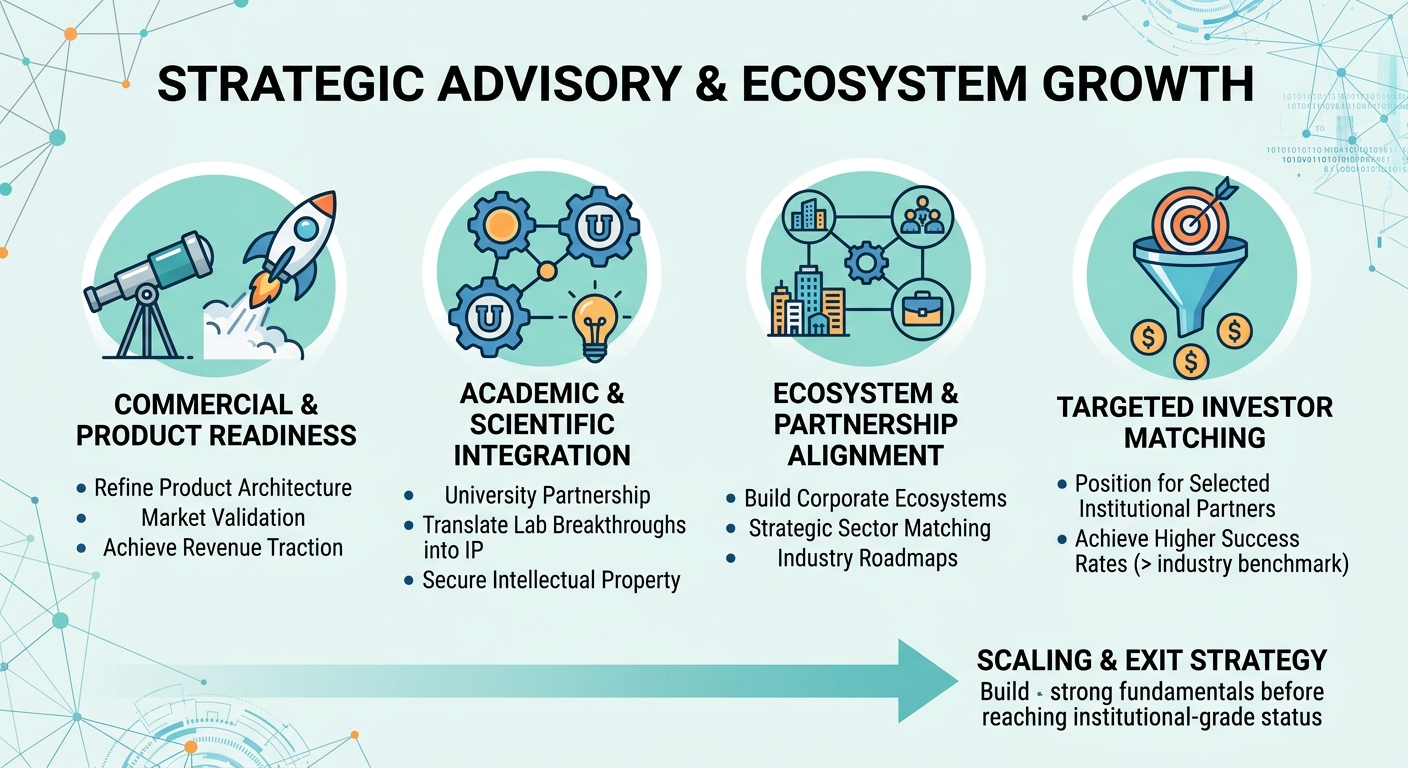 Strategic Advisory Beyond Traditional Venture Capital for Scale-Ups and Research Spin-Outs Ukraine